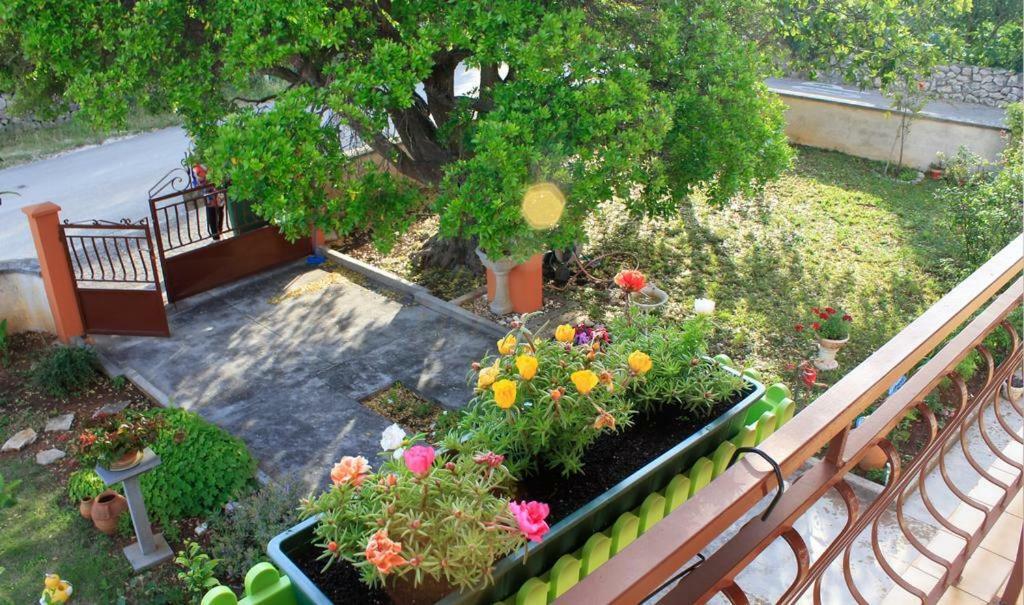 Apartmani Volga Петрчане Экстерьер фото