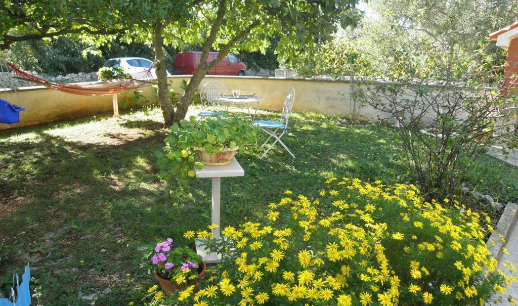 Apartmani Volga Петрчане Экстерьер фото